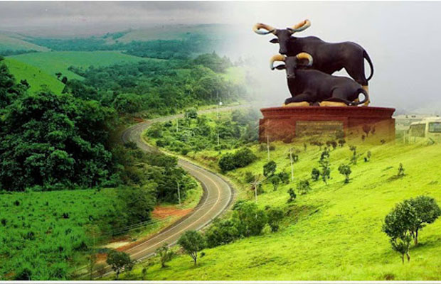 Sea of ​​wood Samuth Cheu