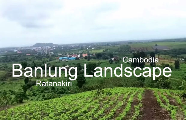 The large field landscape