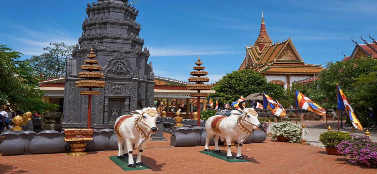 Explore Siem Reap City! 